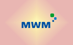 ✓ MWM ����������������������������������������������������������  